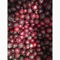 Продам Вишню на Концентрат