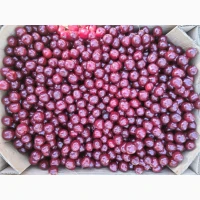 Куплю вишню