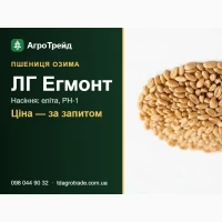 ЛГ Егмонт - озима пшениця Limagrain: посівне насіння еліта, РН-1