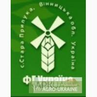Пшеничная мука первого сорта