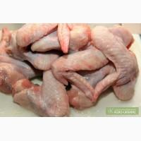 Продам оптом и в розницу куриную разделку - крыло,филе,окорок.
