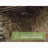 Тюки з сіна