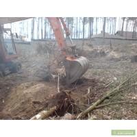 Корчевание пней. Удаление пней Киев