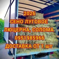 Луговое сено. Люцерна в тюках. Доставка. Б/н