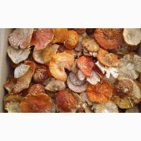 Мухомор Красный! 2024год Только Целые Сушеные Шляпки