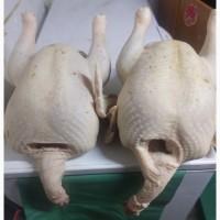 Продам тушки домашнего индюка
