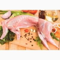 Продам мясо молодого кролика.110грн. за кг