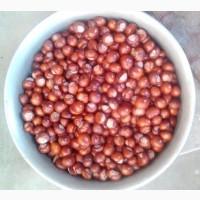 Шляпки желудя для декора, шляпка желудя, плюска желудя, крышечка желудя, каштаны