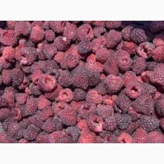 Продаємо заморожену малину оптом від 5 тонн. We offer frozen raspberries in wholesale