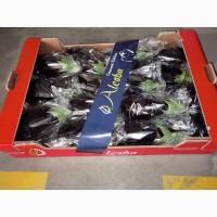 Оптовые поставки БАКЛАЖАН. Испания