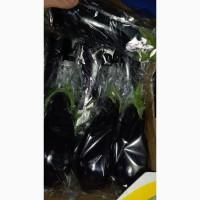 Продам огірок турція