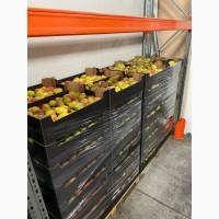 Продам Грушу Киргизка Опт