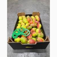 Продам Грушу Киргизка Опт