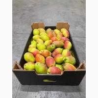 Продам Грушу Киргизка Опт