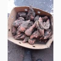 Продам морковь