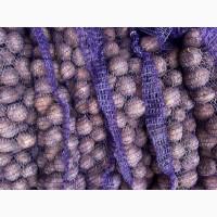 Продам картошку