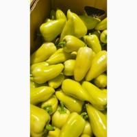 Продам перець сорт Білозерка