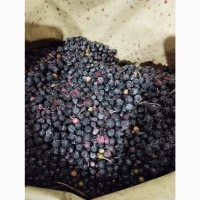 Продам заморожену чорницю 3 сорту