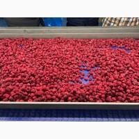 Купуємо!!! Малину орігінал морожену 200грн