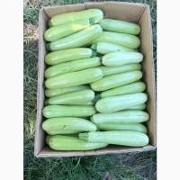 Продам кабачок до 600кг кожного дня Не перероший