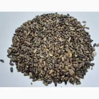 Льон, розторопша, гарбуз, кoнoпля, амарант, насіння на олію, семена лен, расторопша