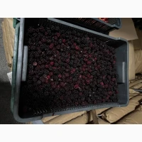 Продам Ожину садову, заморожену