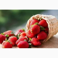 Куплю полуницю
