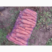 Продам моркву