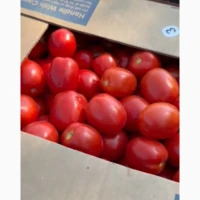 Продам крутого качества номерную сливку