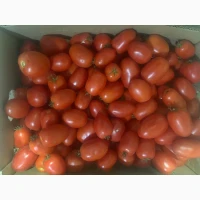 Продам помідори