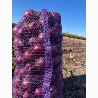 Продам червону(синю) цибулю