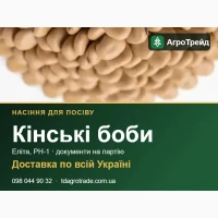 Продам насіння кінських бобів - еліта, РН-1, доставка по Україні