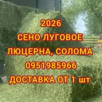 Сено в тюках мешках, солома в тюках мешках. Для корма, на подстилку