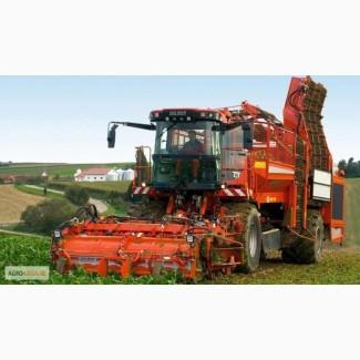 Предоставим услуги уборки сахарной и кормовой свеклы комбайнами HOLMER