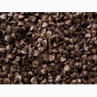 Продам шелуху ( лузгу ) гречихи