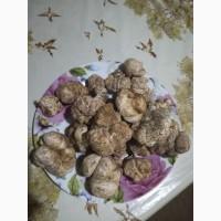 Продам белые трюфеля