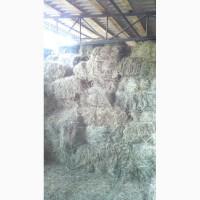 Продам лугове сіно великими об#039;ємами, доставка безкоштовна!Чекаємо на замовлення