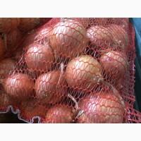 Продам ЛУК репчатый 1-2 сорт
