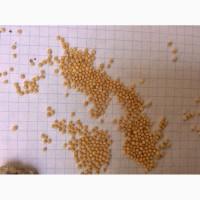 Продам горчицу белую