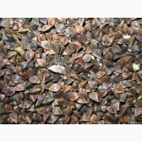 Продам гречиху