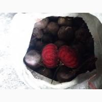 Продам качественную свеклу