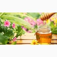 Принимаем заказы на пчелопакеты 1200грн звоните