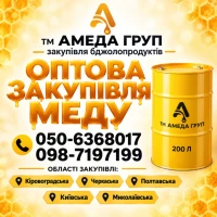Закуповуємо мед по Кіровоградській, Полтавській областях