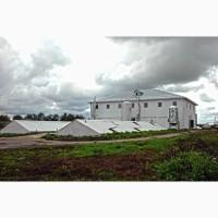 Аренда земельного участка 5 гектар