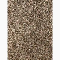 Продам насіння льону. Сорт Орфей