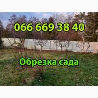 Обрезка плодовых деревьев, обрезка деревьев, услуги садовника, уход за газоном, садівник