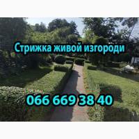 Обрезка плодовых деревьев, обрезка деревьев, услуги садовника, уход за газоном, садівник
