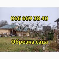 Обрезка плодовых деревьев, обрезка деревьев, услуги садовника, уход за газоном, садівник