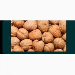 Продам бойний просушений горіх, врожай 2023