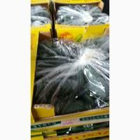 Продам помідор турція